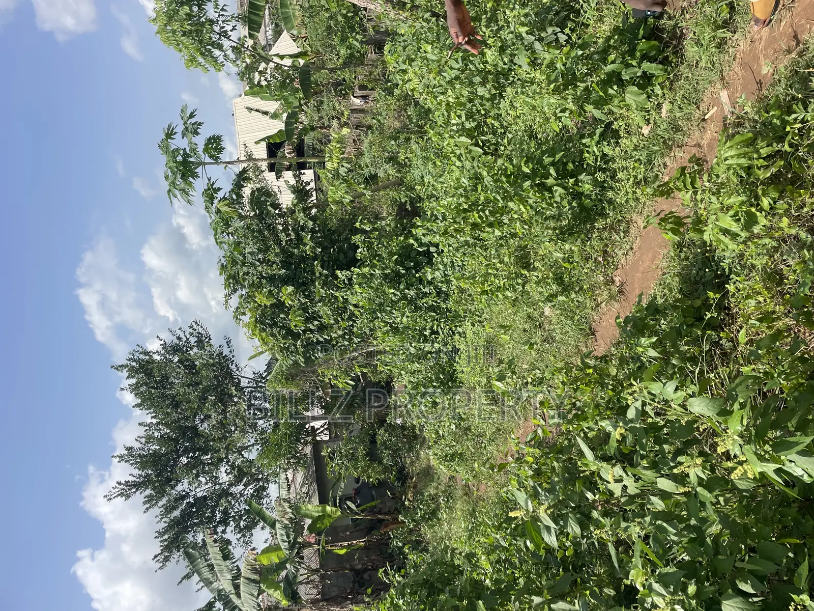 A Complete Full Plot of Land in a Cool and Serene Environment in Ado-Odo/Ota
