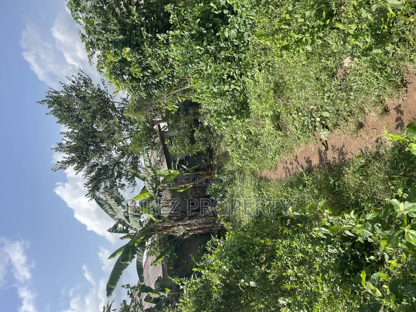 A Complete Full Plot of Land in a Cool and Serene Environment in Ado-Odo/Ota