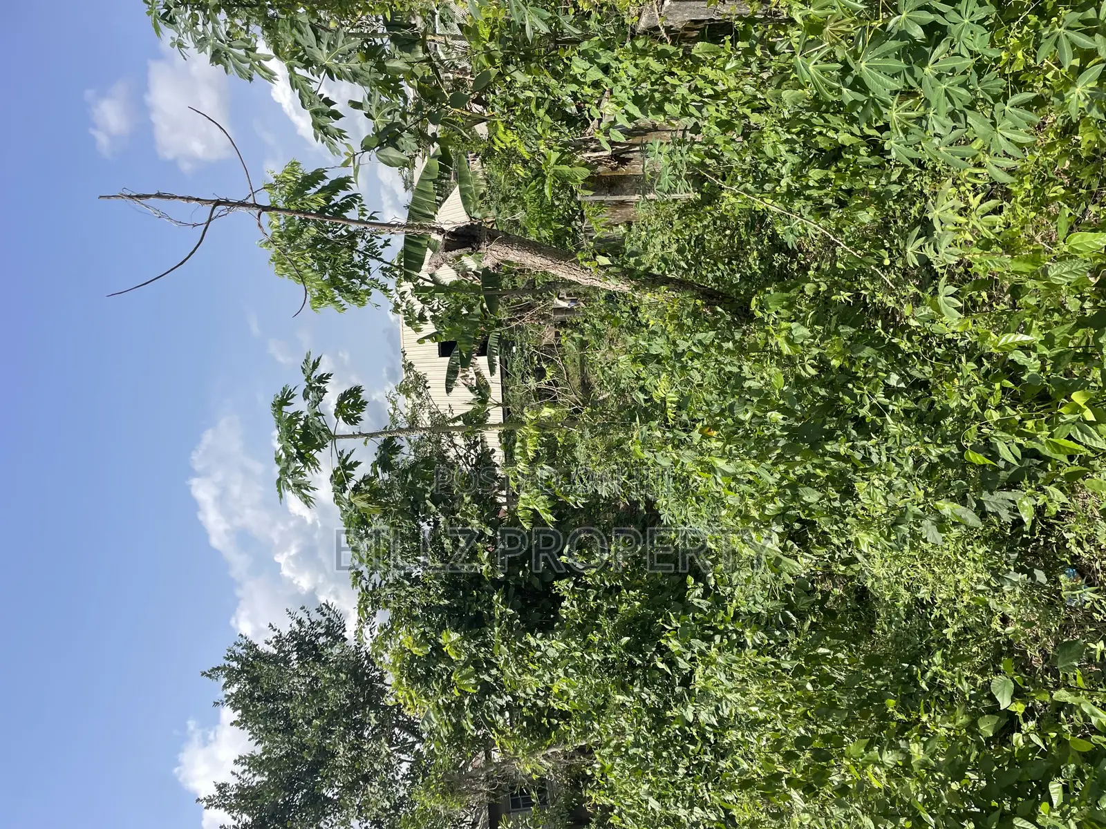 A Complete Full Plot of Land in a Cool and Serene Environment in Ado-Odo/Ota