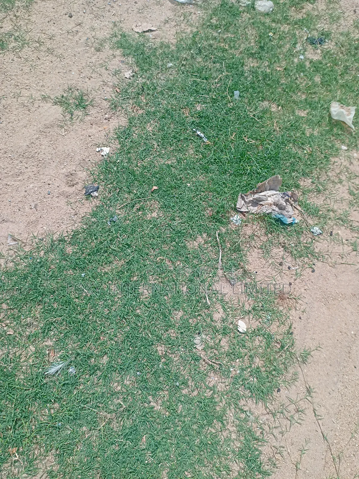 Filling Station Land For Sale At Katampe in Katampe (Main)
