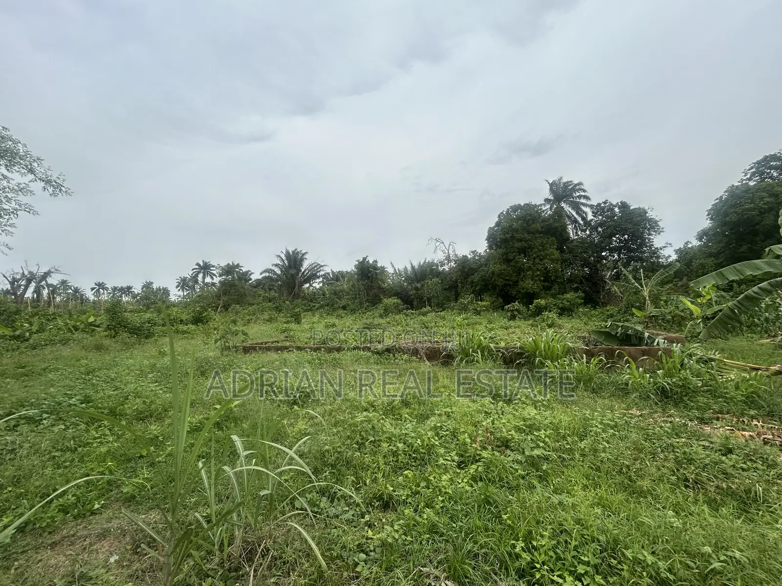 Standard 3 Bedroom Foundation On A Full Plot Of Land! in Ilesa