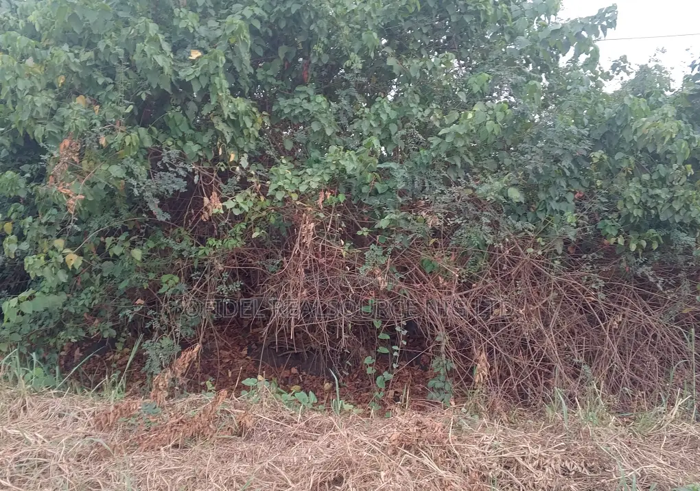 545sqm Land Within Opic Riverview Estate, C of O for Sale. in Isheri North