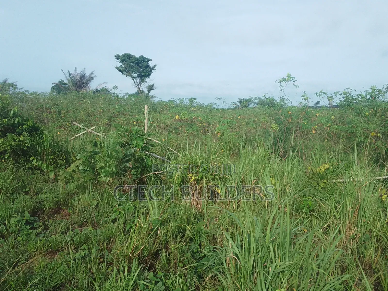 Plots for Sale in Benin City