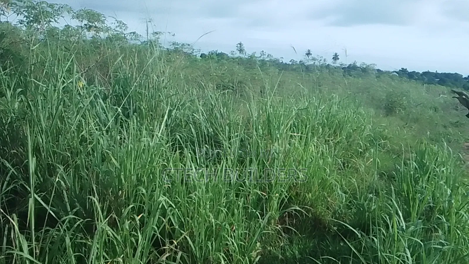 Plots for Sale in Benin City