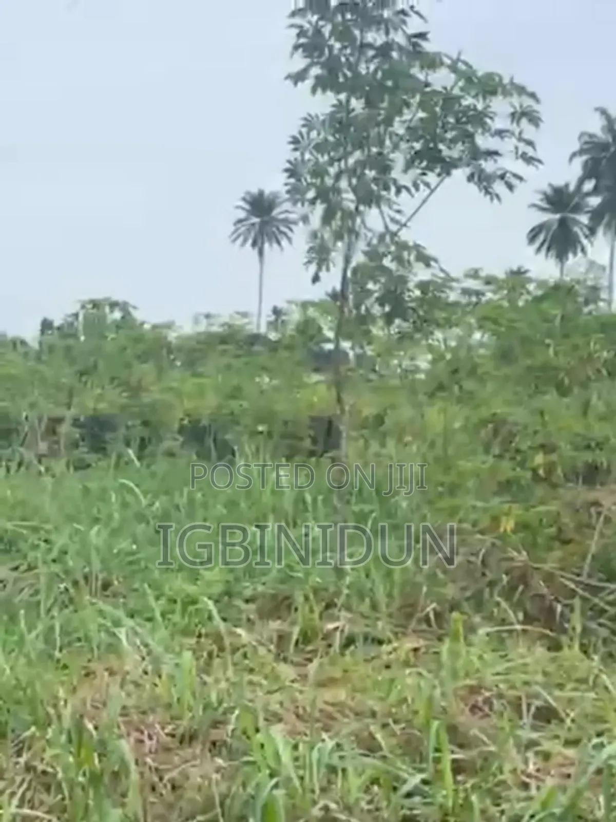 100/100 Plot of Land Available at Upper Ekewan in Benin City