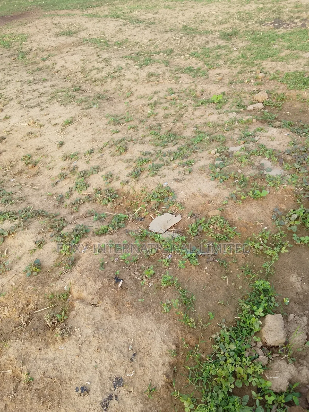 100 Hectares Land for Sale at Maitama2 in Maitama