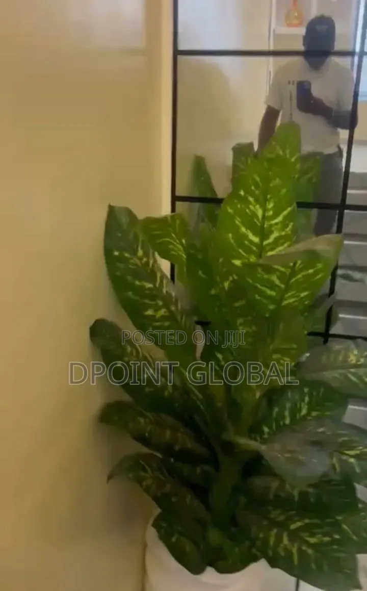 6bdrm Block of Flats in Abesan Estate for sale in Abesan