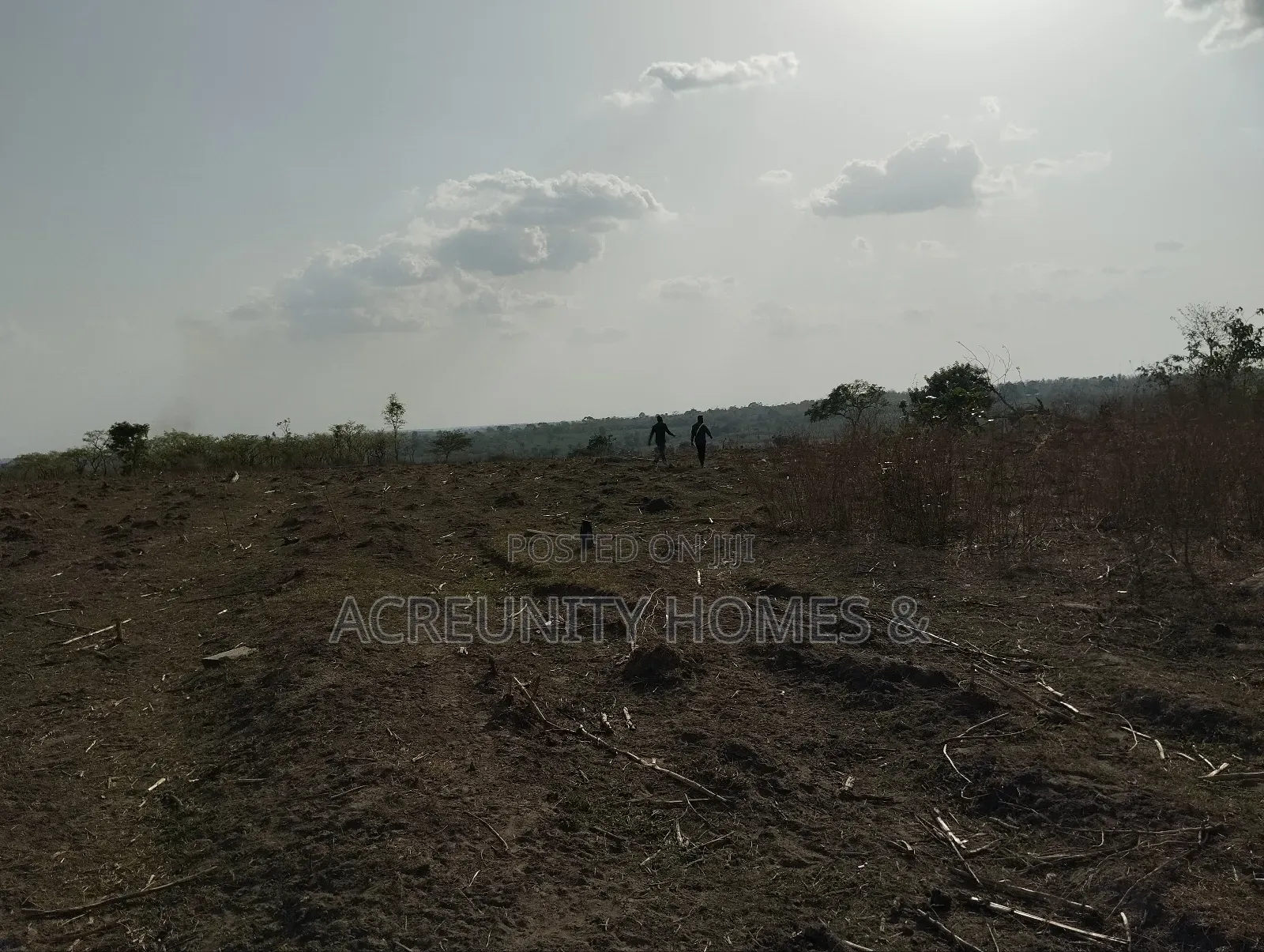 58 Acres of Farmland Available, Alagbede Village, Iseyin, Oyo State in Iseyin