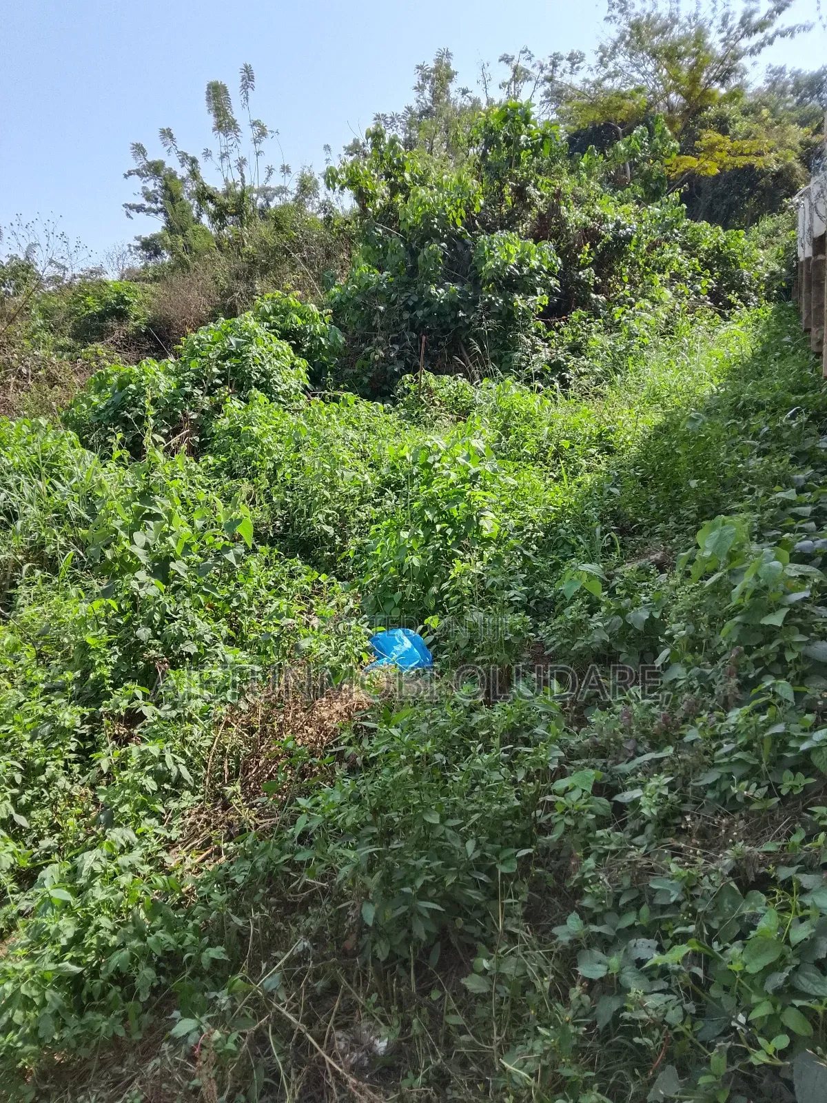 Farmland and Plots for Sale in Ise/Orun