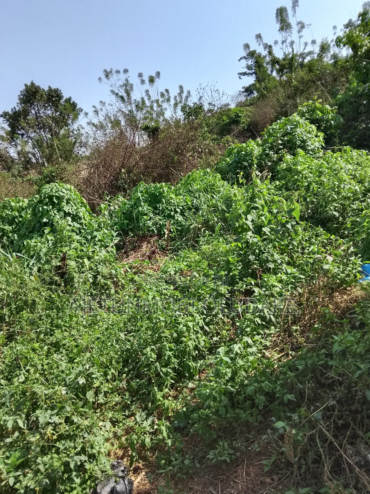 Farmland and Plots for Sale in Ise/Orun