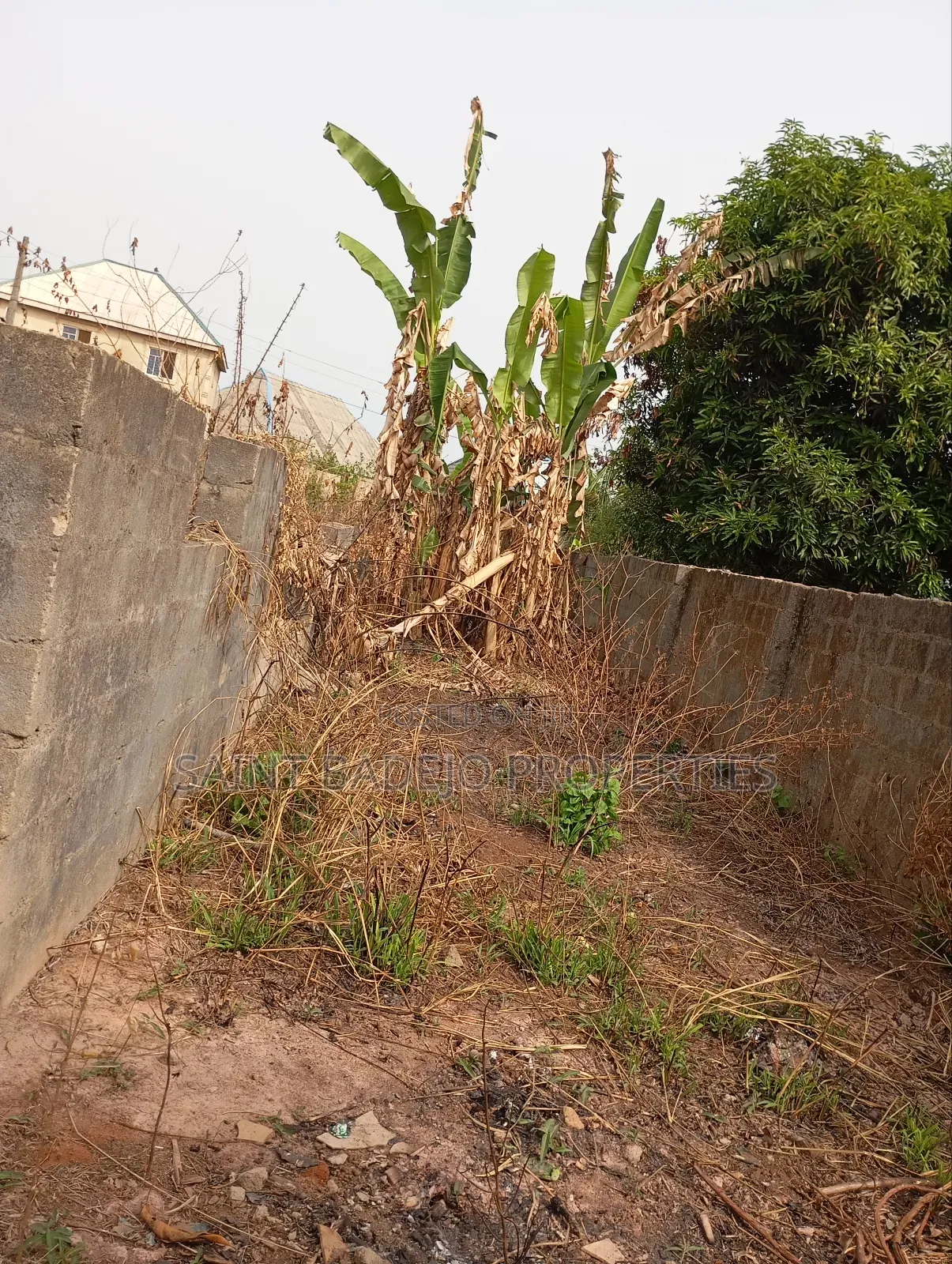 Land for Sale in Adamo