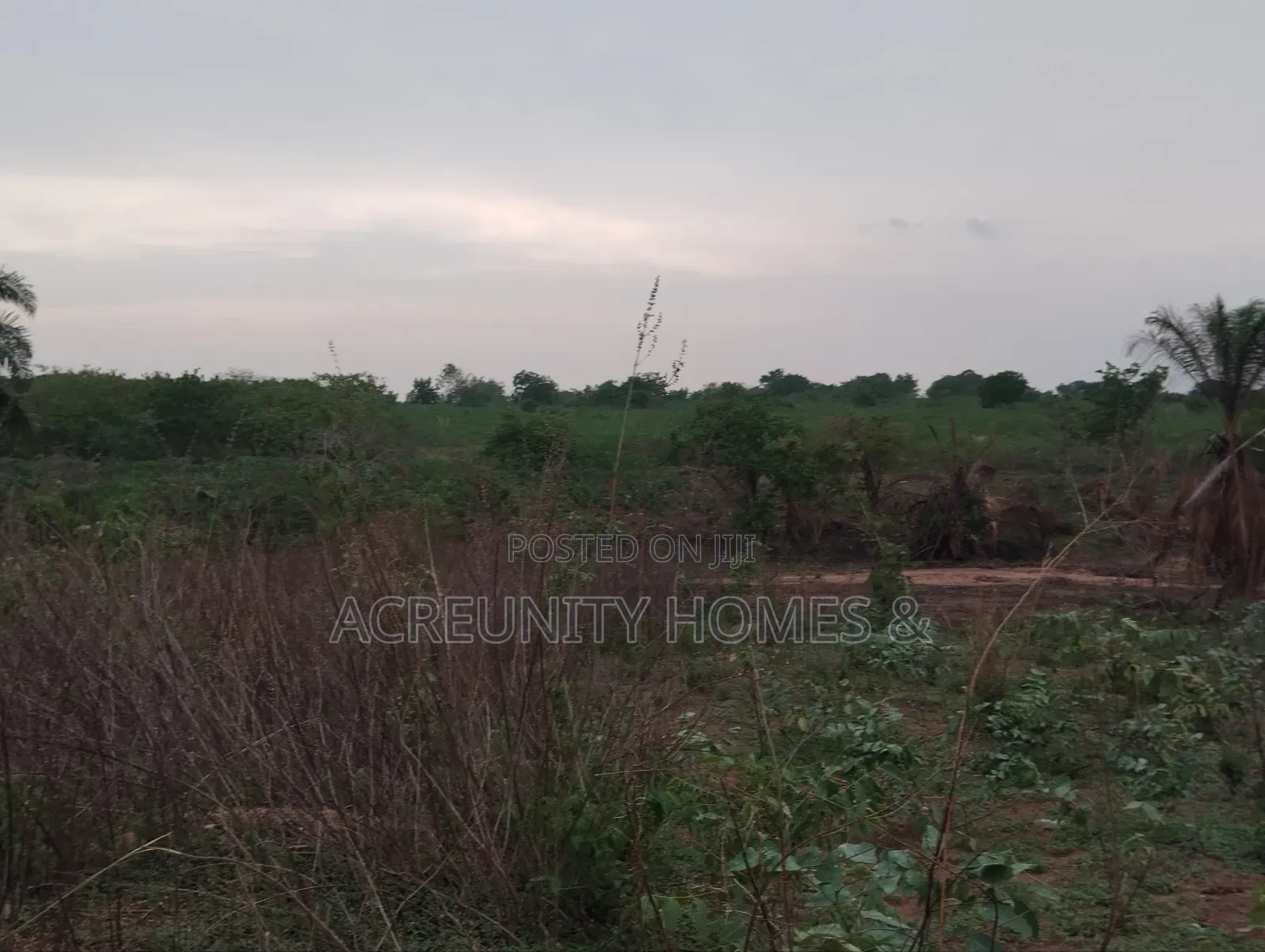 5 Acres of Commercial Land in Prime Area,Iseyin-Ogbomoso Way Oyo State in Iseyin