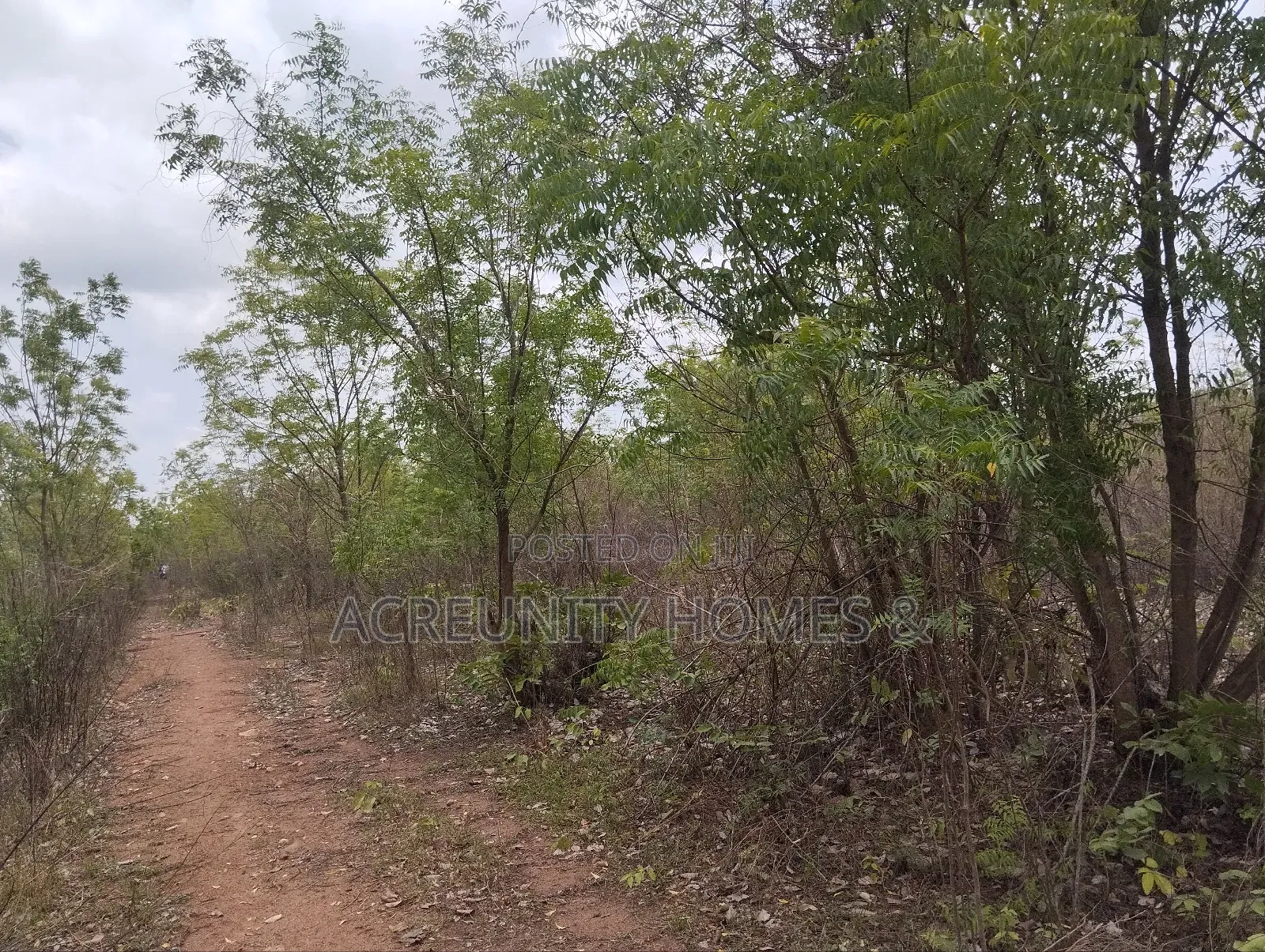 500 Acres of Fertile Farmland for Sale in Kisanija, Okeho (Kajola Lga) in Iseyin