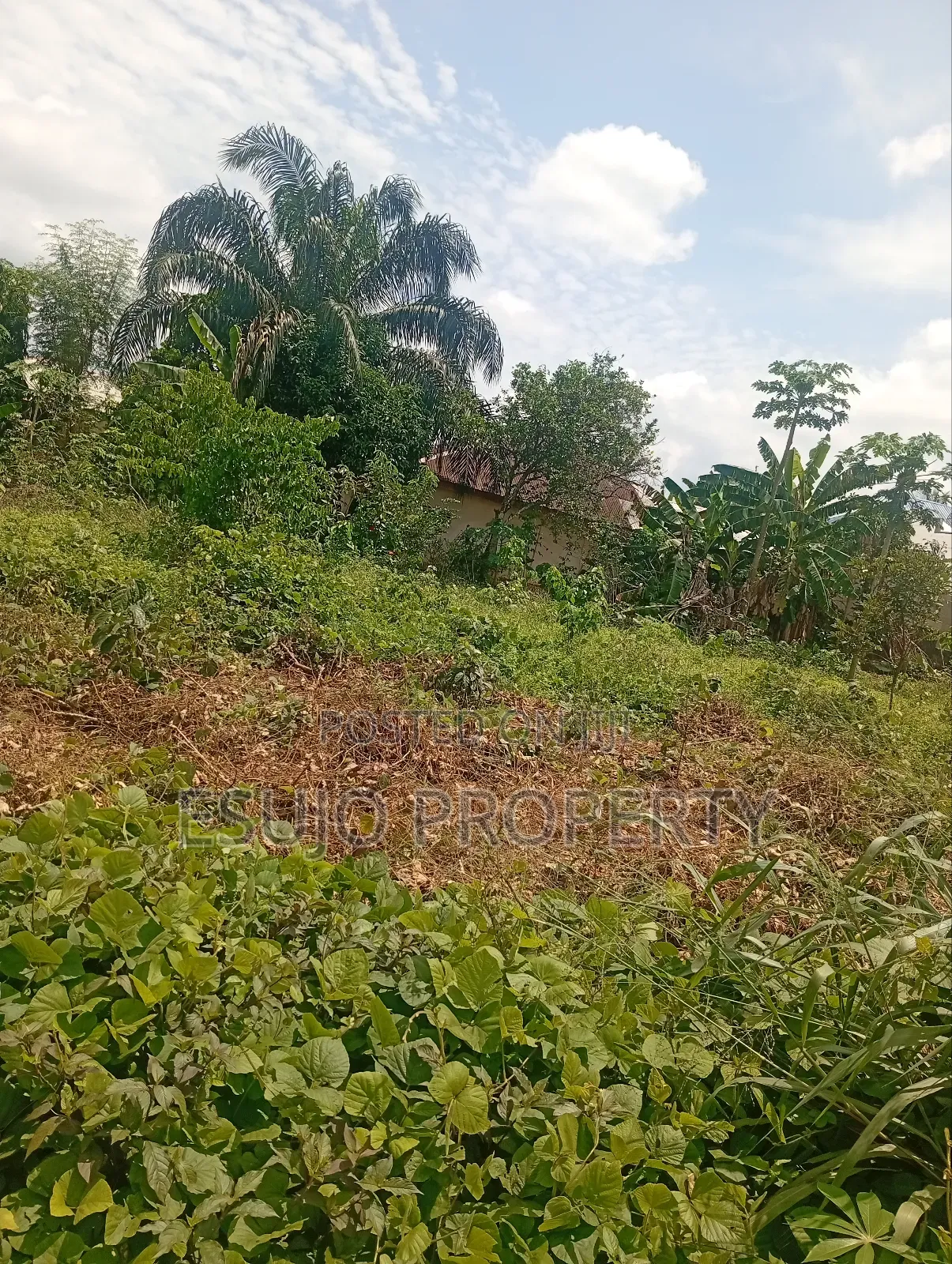 Distress Sales in Uyo