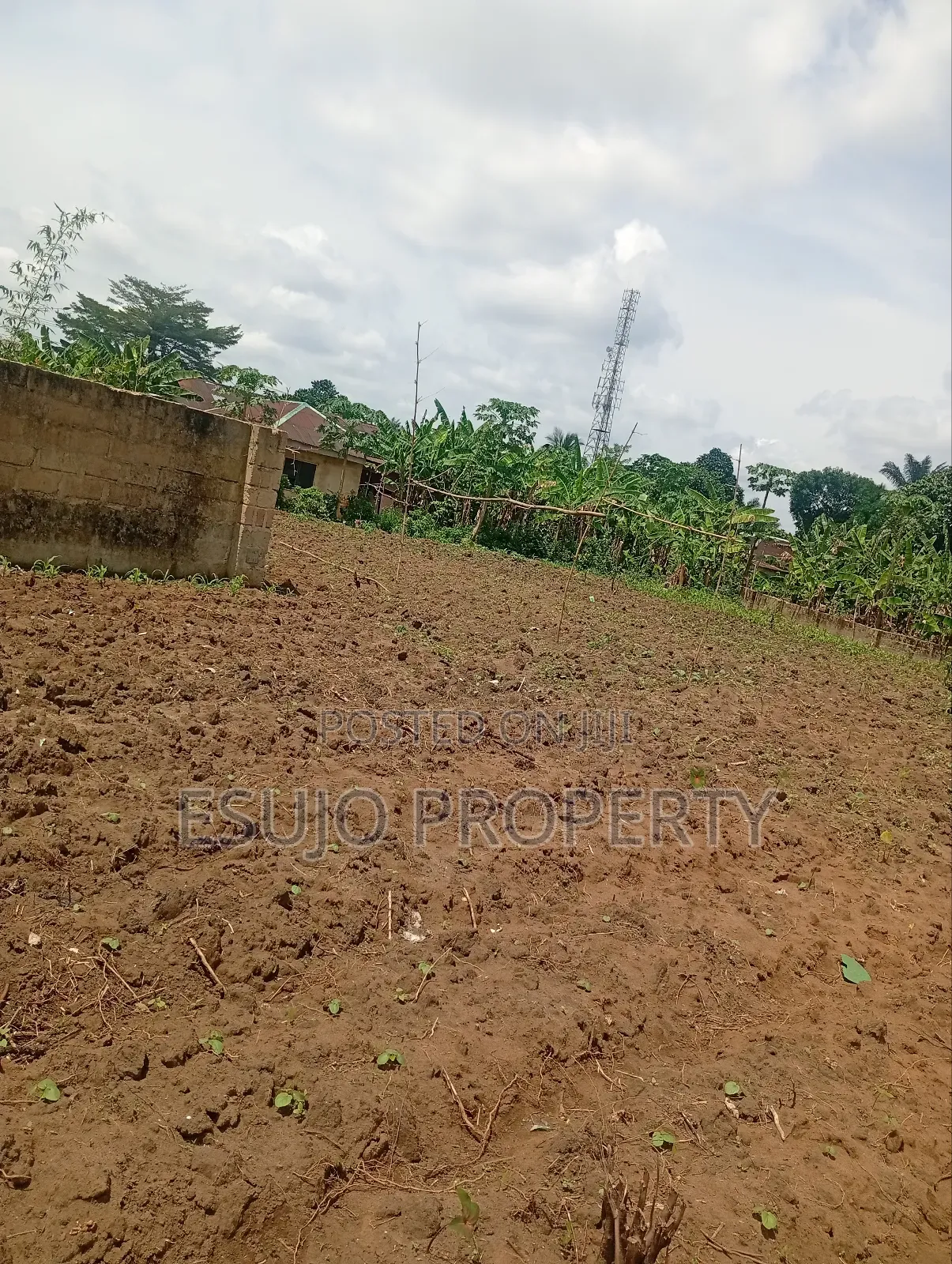 Distress Sales in Uyo