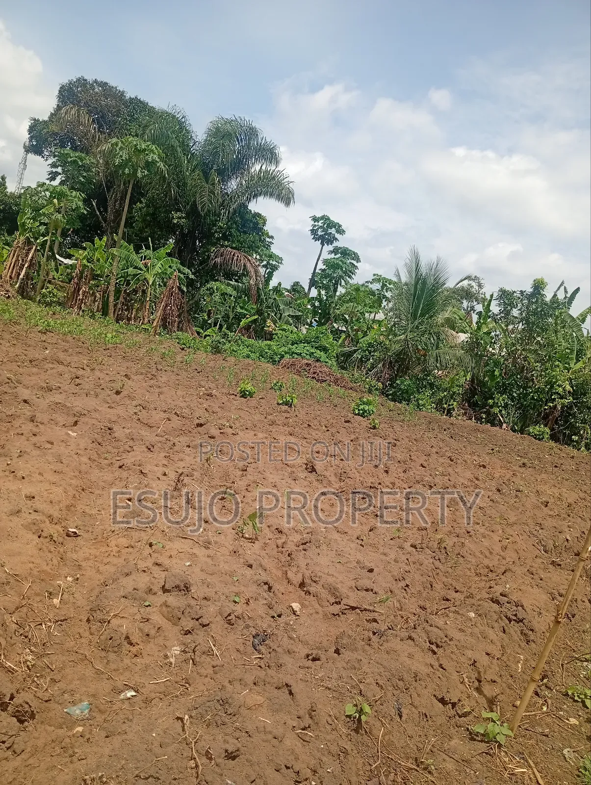 Distress Sales in Uyo