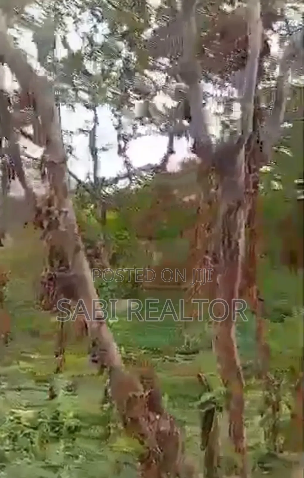 Land for Sale | Full Plot of Land Fenced Round With Gate at Akowonjo in Akowonjo
