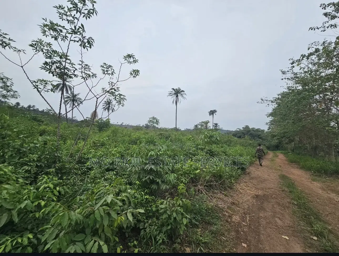 Acres of Farmland for Sale at Kobape in Abeokuta South