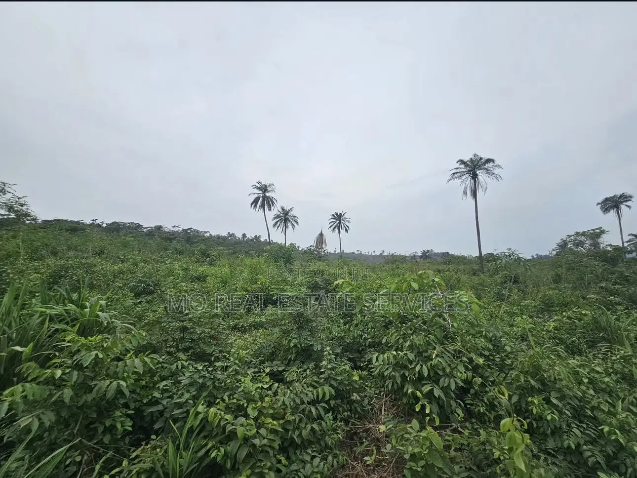 Acres of Farmland for Sale at Kobape in Abeokuta South