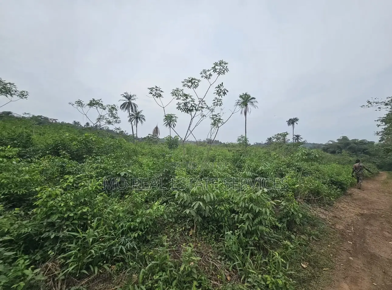 Acres of Farmland for Sale at Kobape in Abeokuta South