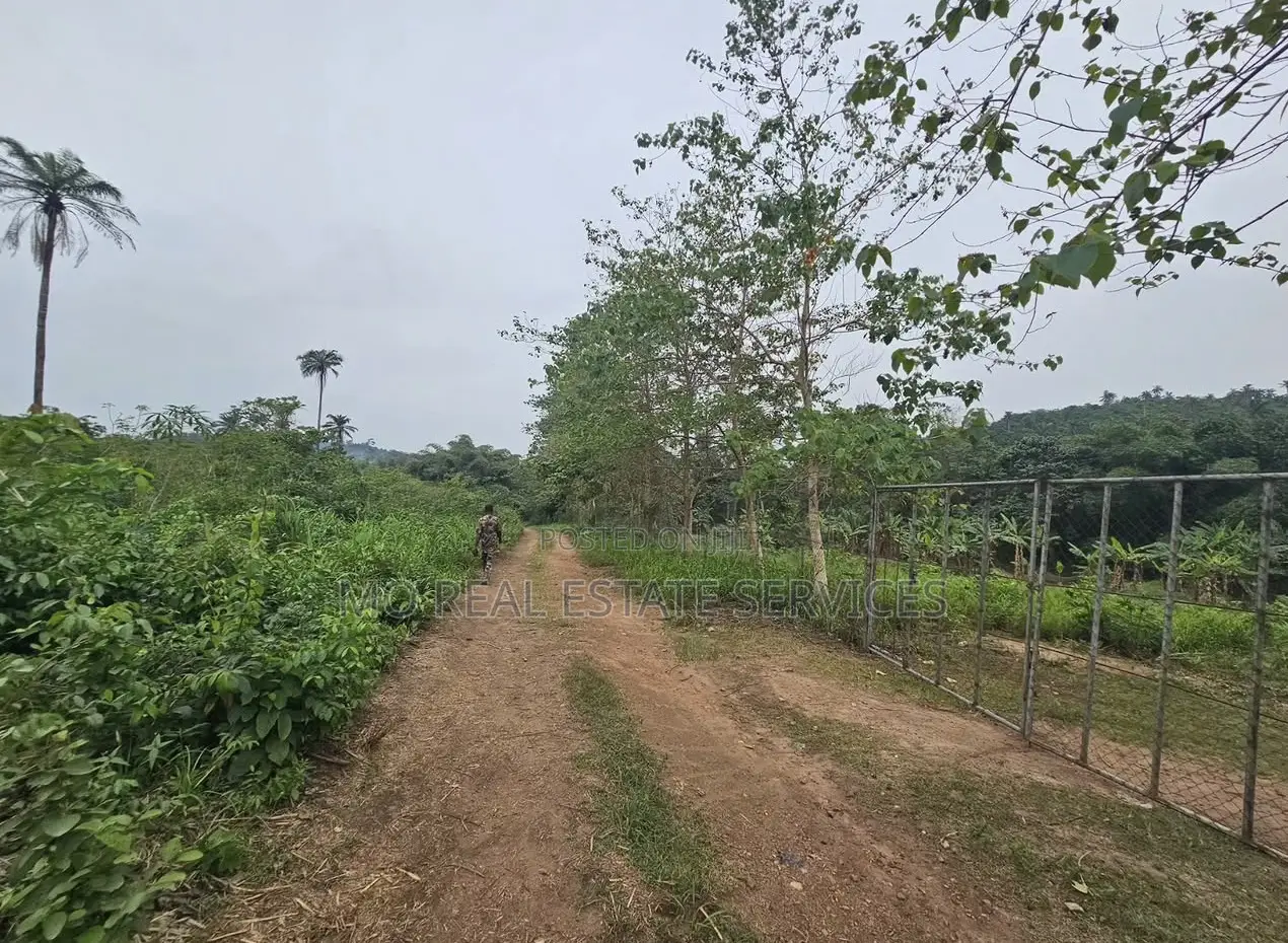 Acres of Farmland for Sale at Kobape in Abeokuta South