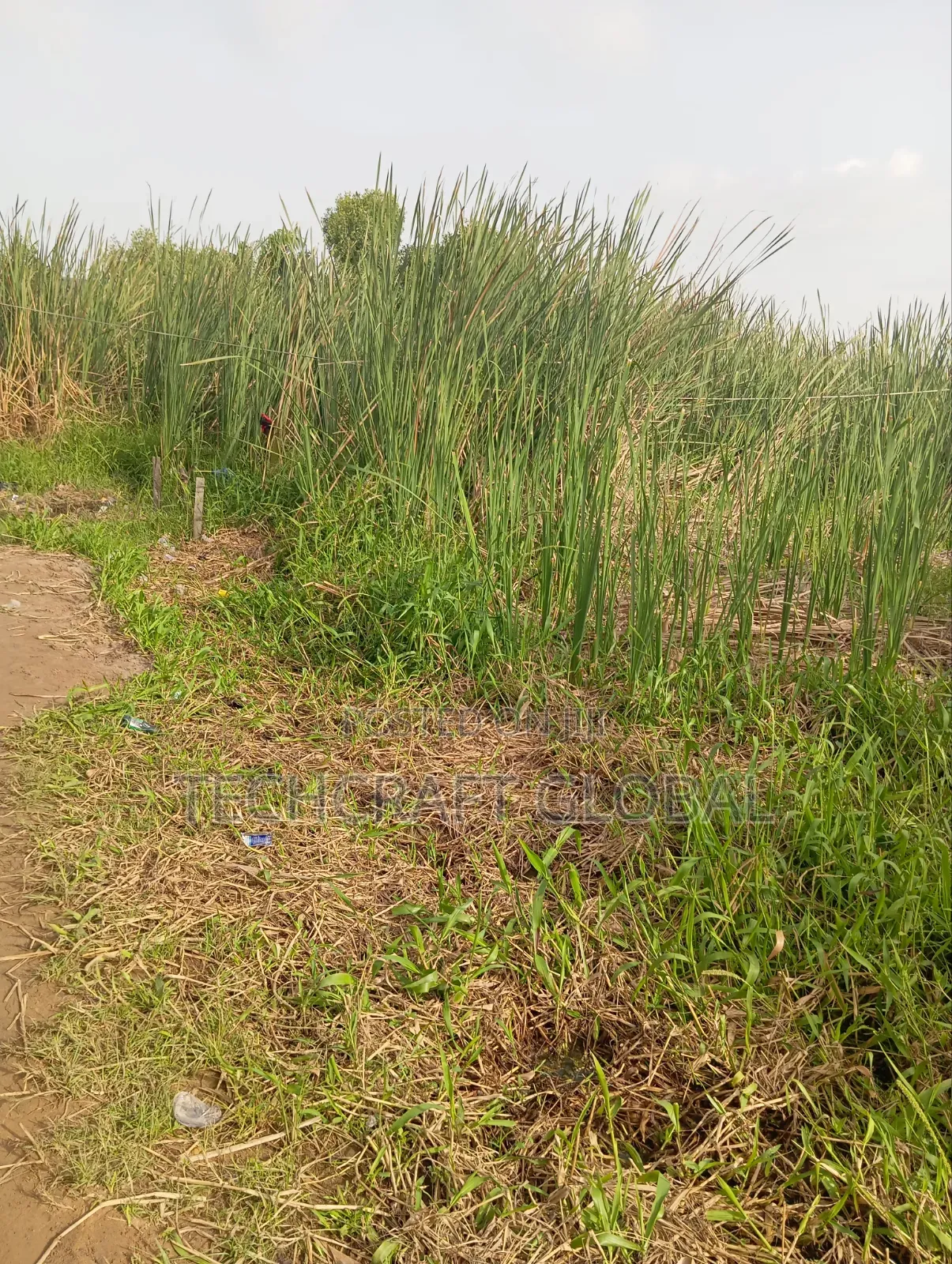 Fastest Finger Up for Grab Buy Build Land for Sale in Sangotedo in Sangotedo