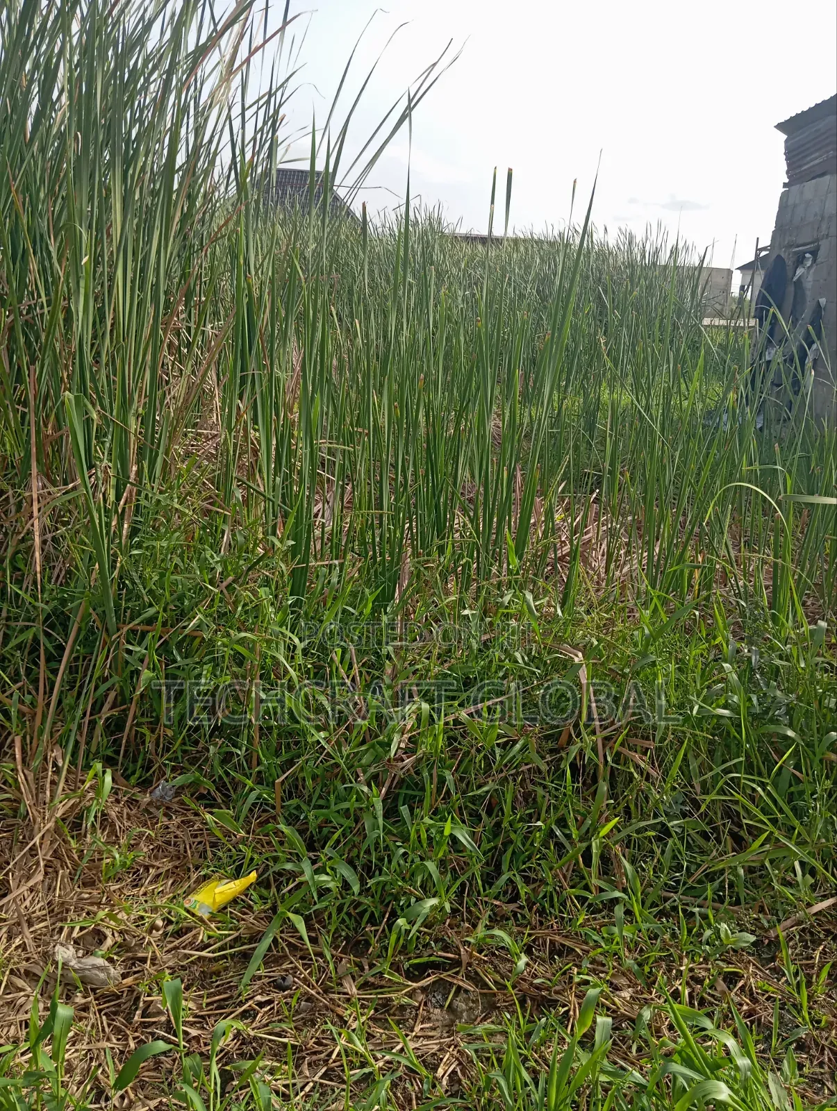Fastest Finger Up for Grab Buy Build Land for Sale in Sangotedo in Sangotedo