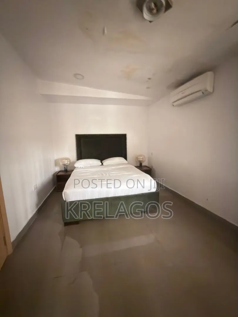 Furnished 1bdrm Apartment in Ikoyi S.W for rent in Ikoyi S.W
