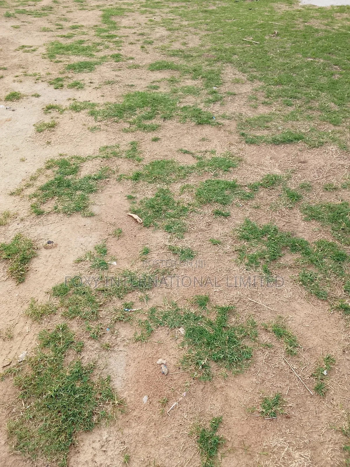 1734sqm at Carraway Dallas Asokoro in Guzape District