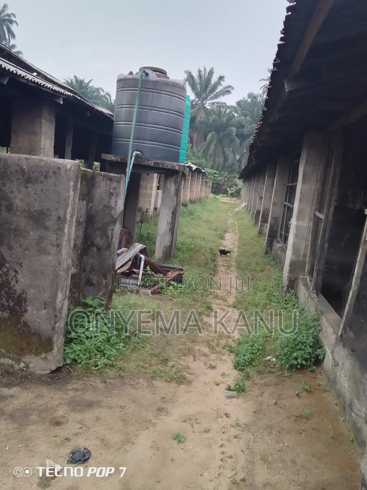 Pen Houses, Fish Ponds to Let in Ukwa