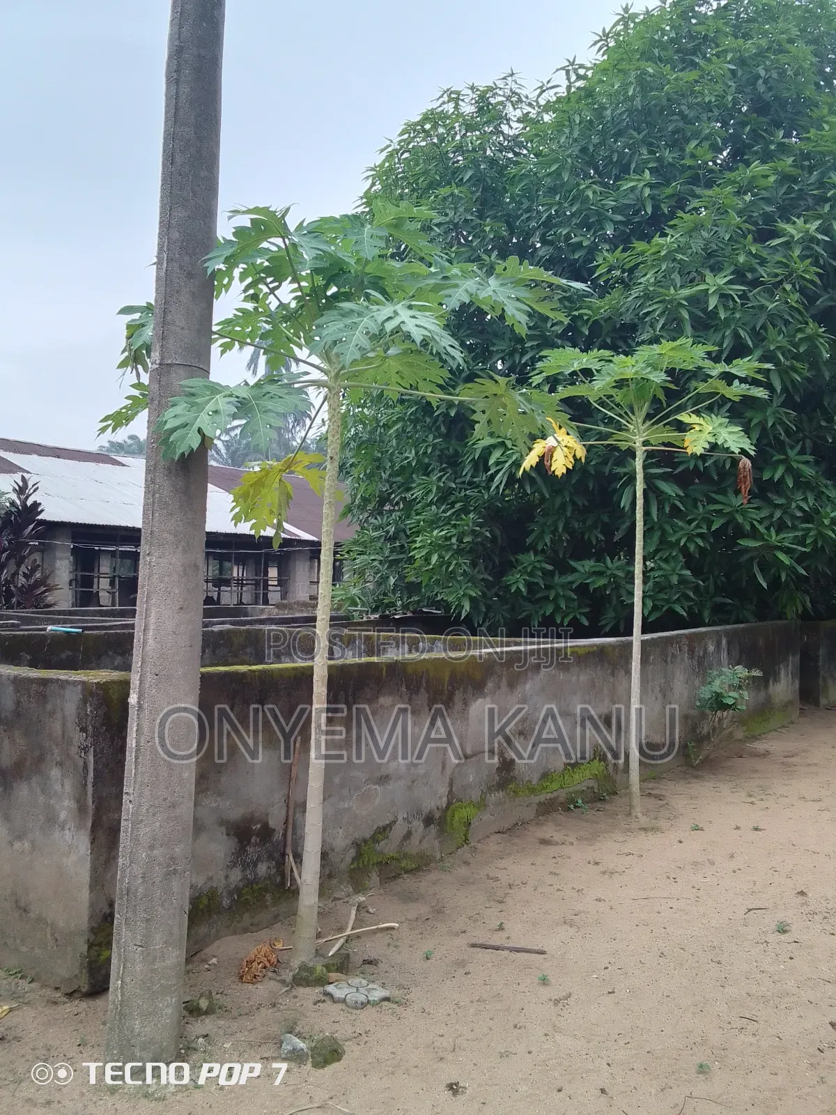 Pen Houses, Fish Ponds to Let in Ukwa