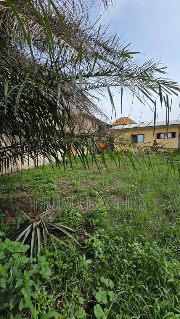 Well Fenced and Gated Plot of Land at Progressive Estate Akala Express in Akala Express