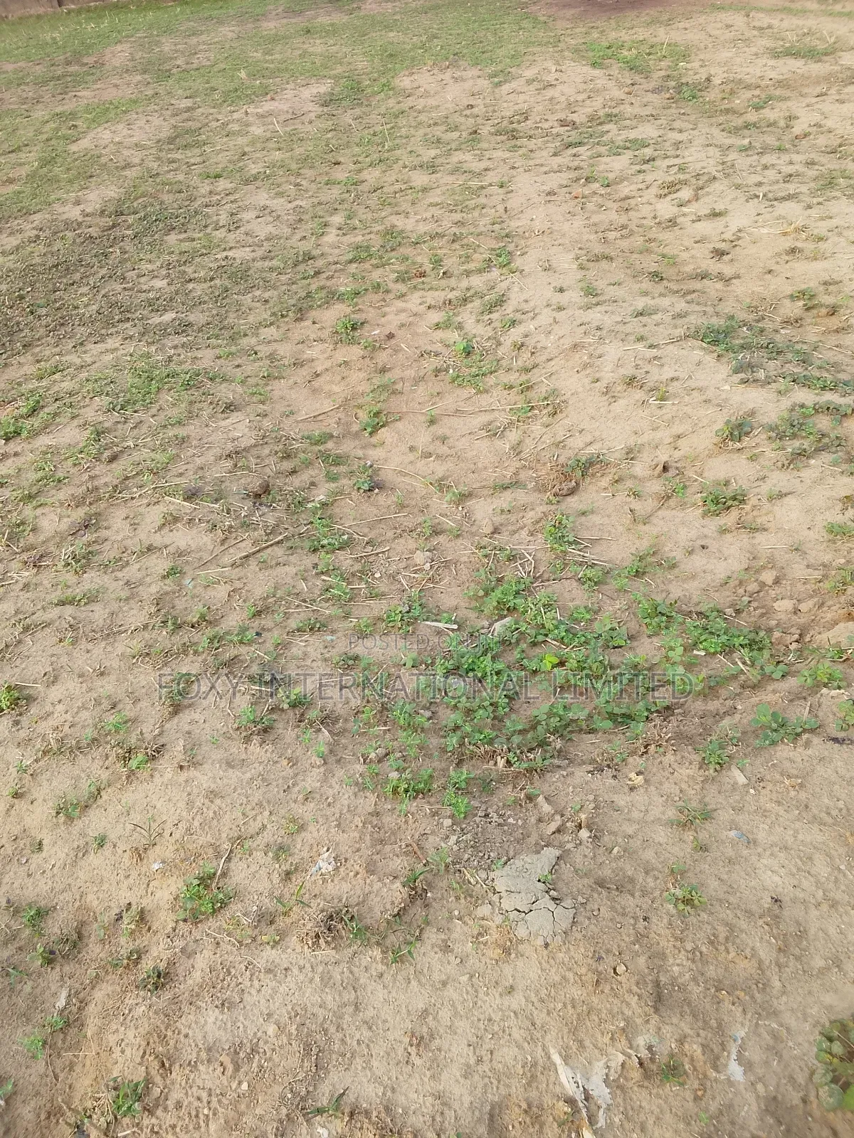 Kaura Commercial Land For Sale in Kaura