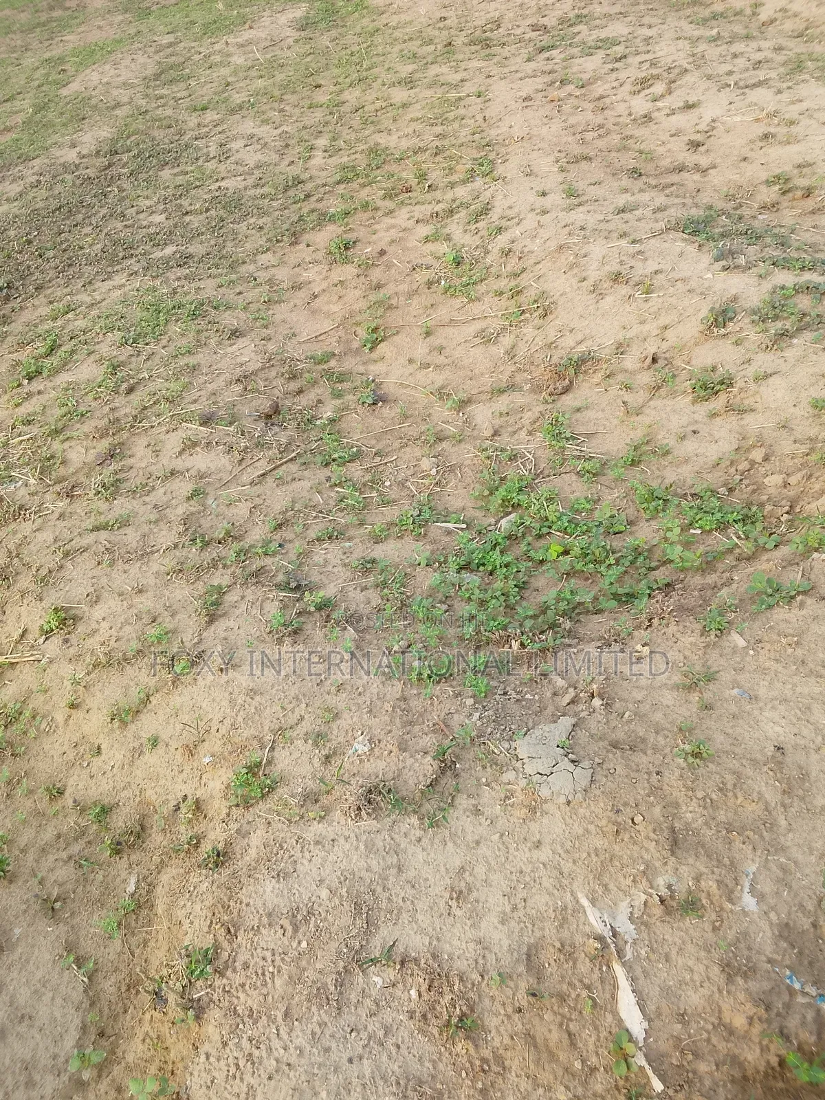 Kaura Commercial Land For Sale in Kaura