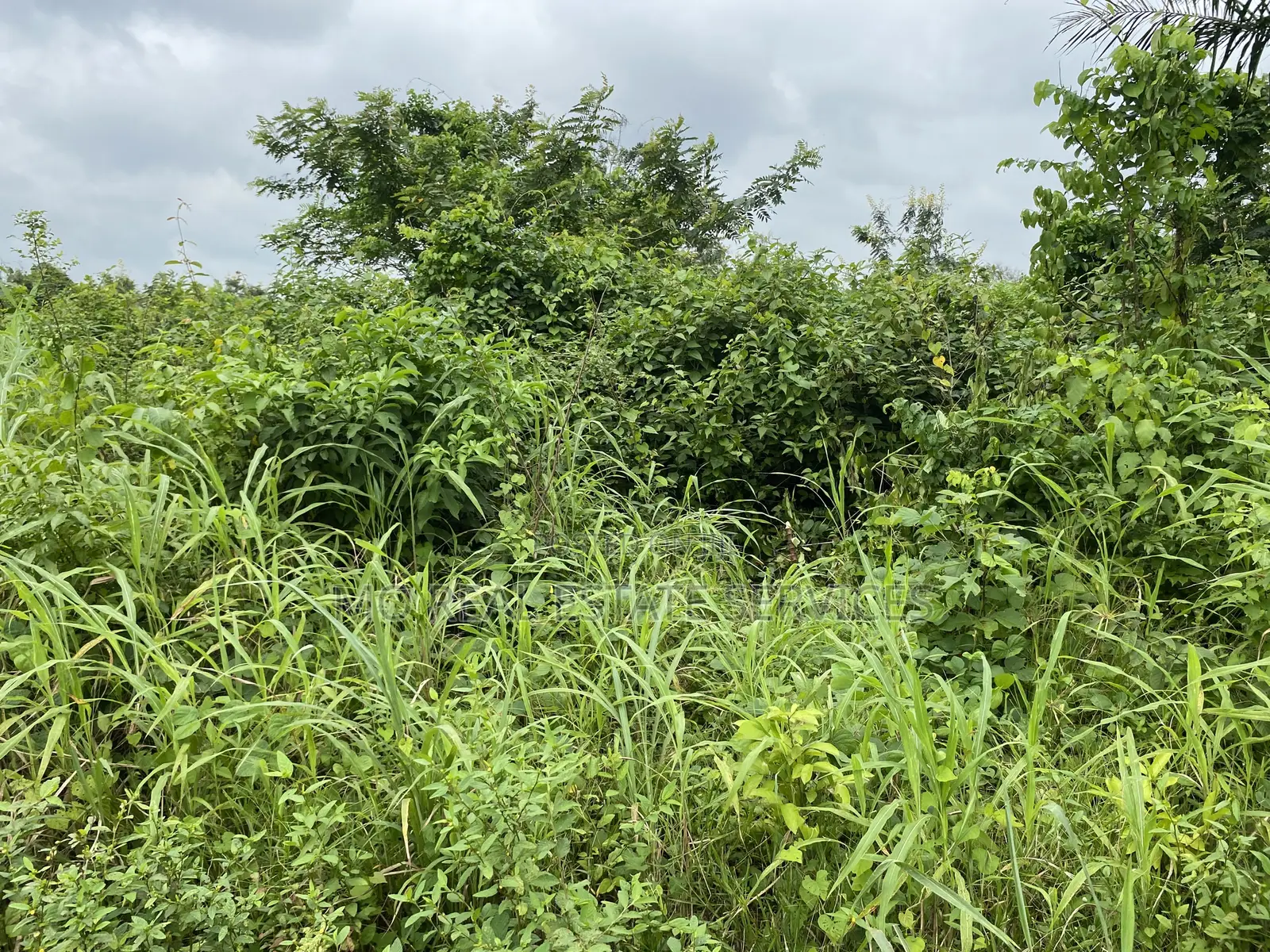 Standard Plot (Partiallyfenced) of Land at Crystal Hill Estate,Laderin in Abeokuta South