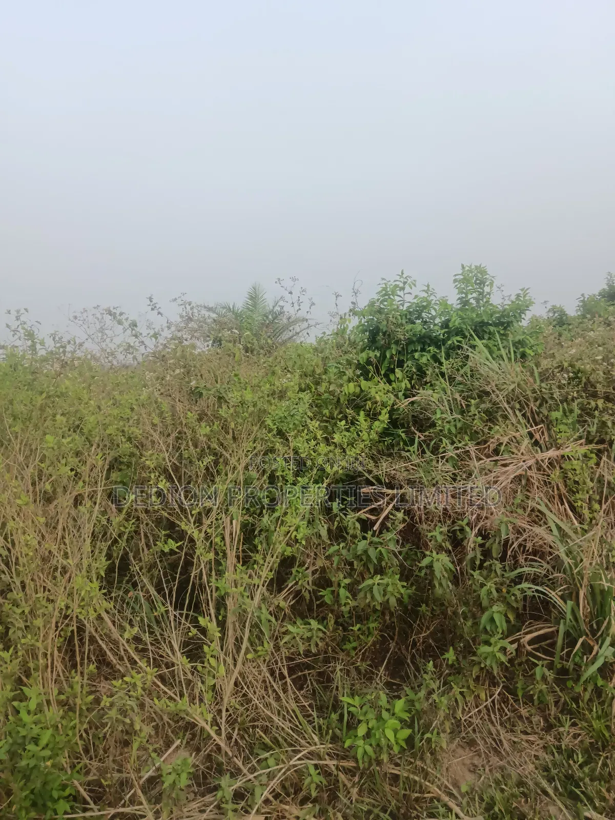 Agbara Land for Sale With Verifiable Lagos State C of O in Odeda