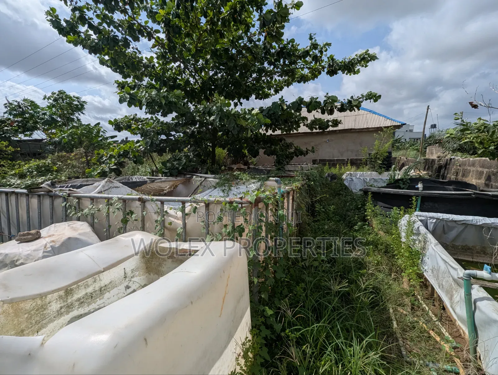 Fish Pond Farm On Half Plot Of Land, Abule Odu Egbeda in Egbeda