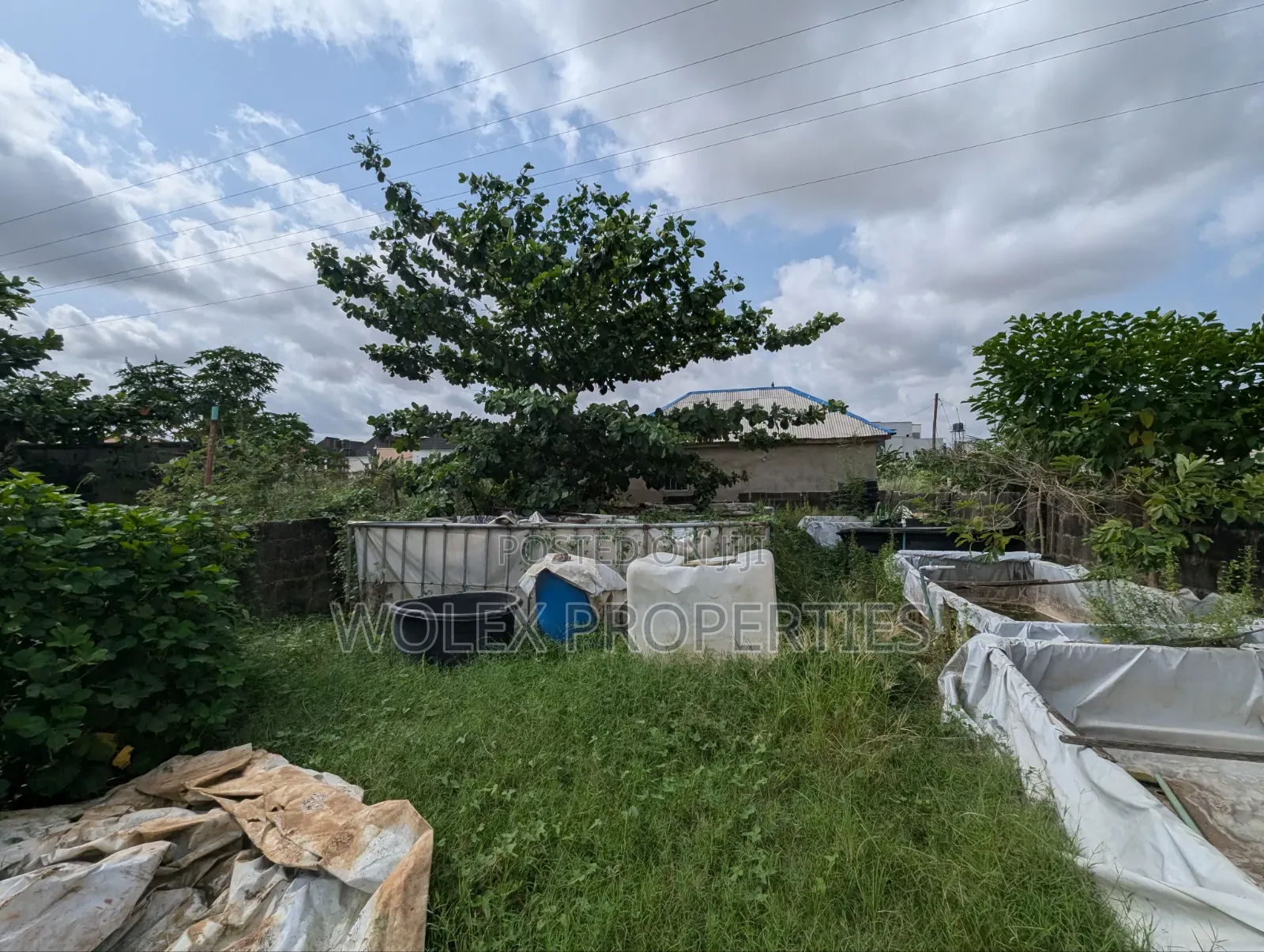 Fish Pond Farm On Half Plot Of Land, Abule Odu Egbeda in Egbeda