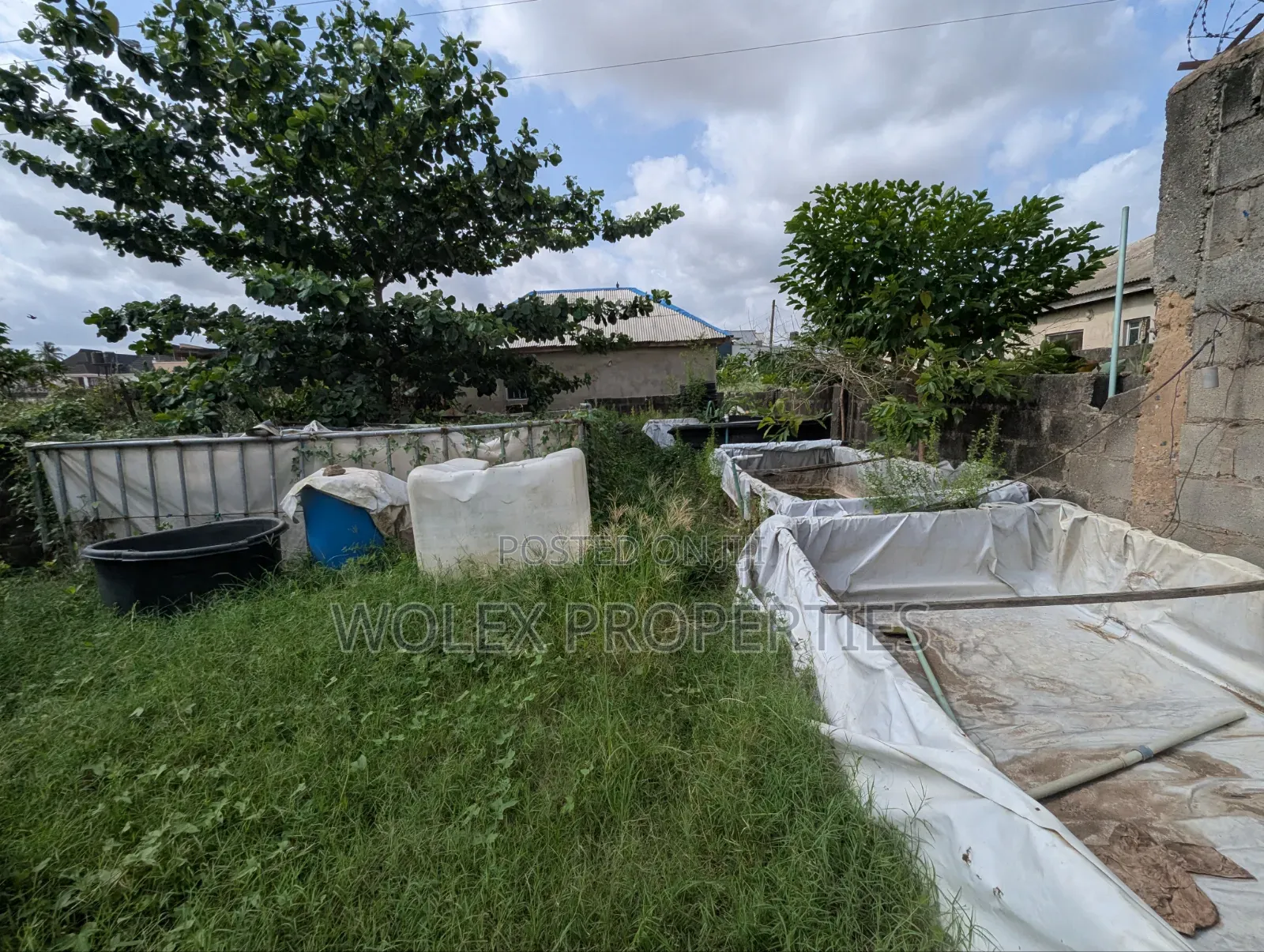 Fish Pond Farm On Half Plot Of Land, Abule Odu Egbeda in Egbeda