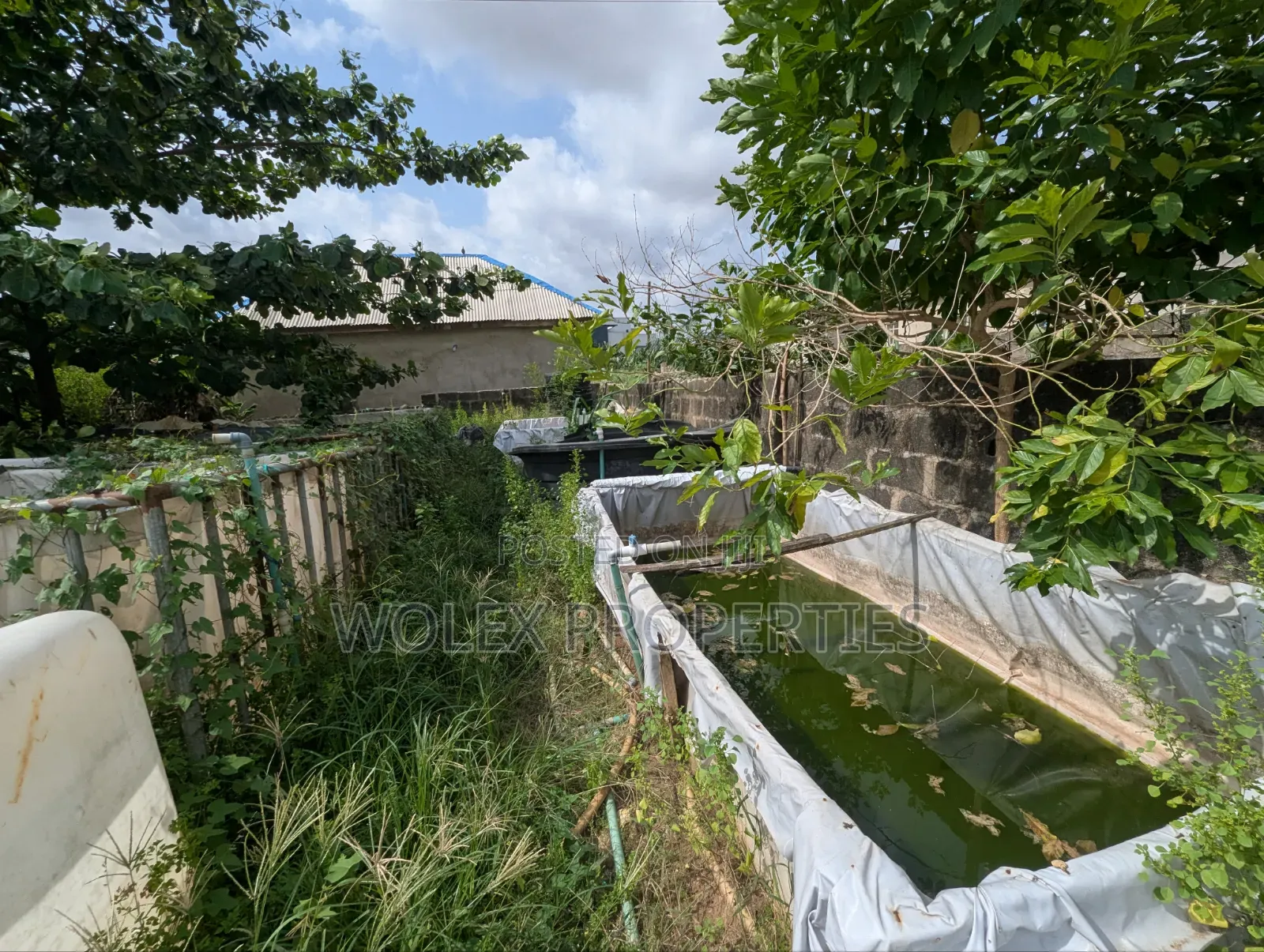 Fish Pond Farm On Half Plot Of Land, Abule Odu Egbeda in Egbeda