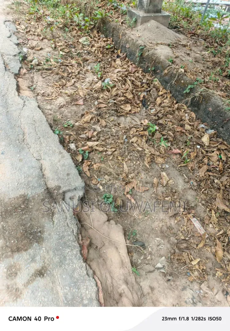 Land for Sale in Ibeju Lekki in Lekki Free Trade Zone