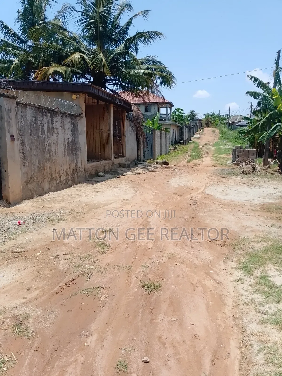 Virgin Land in Igbogbo