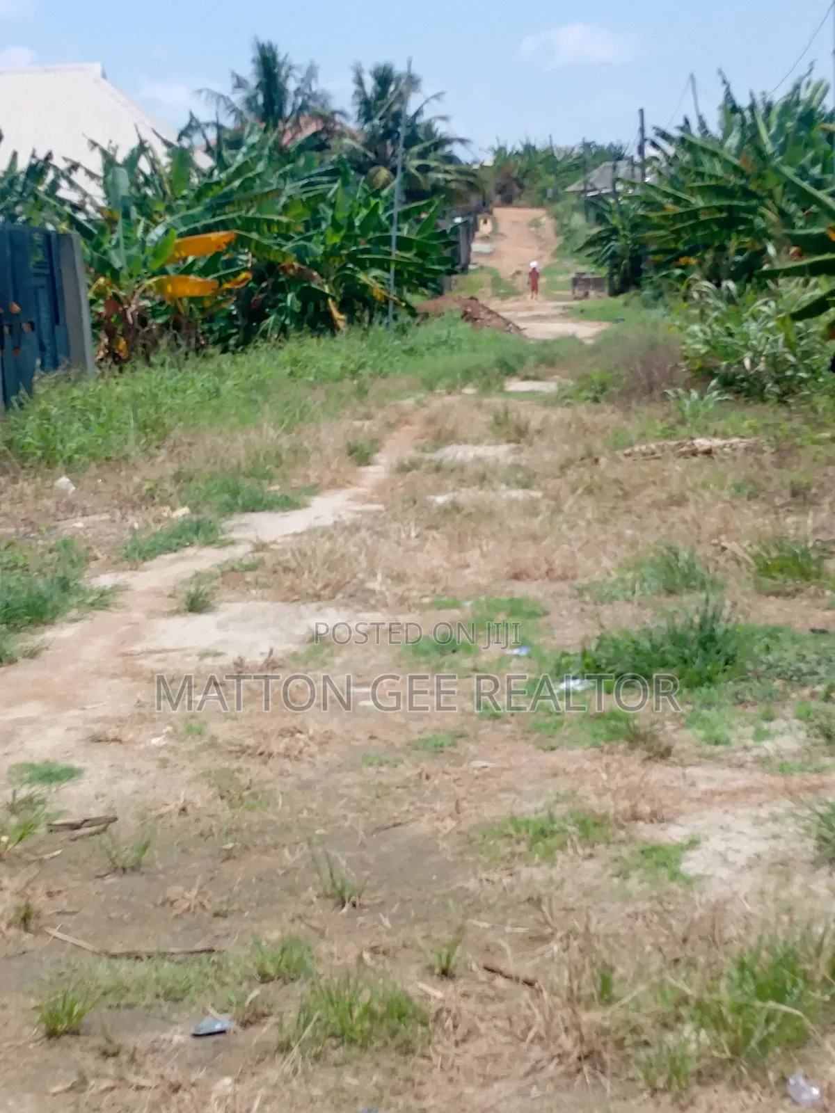 Virgin Land in Igbogbo