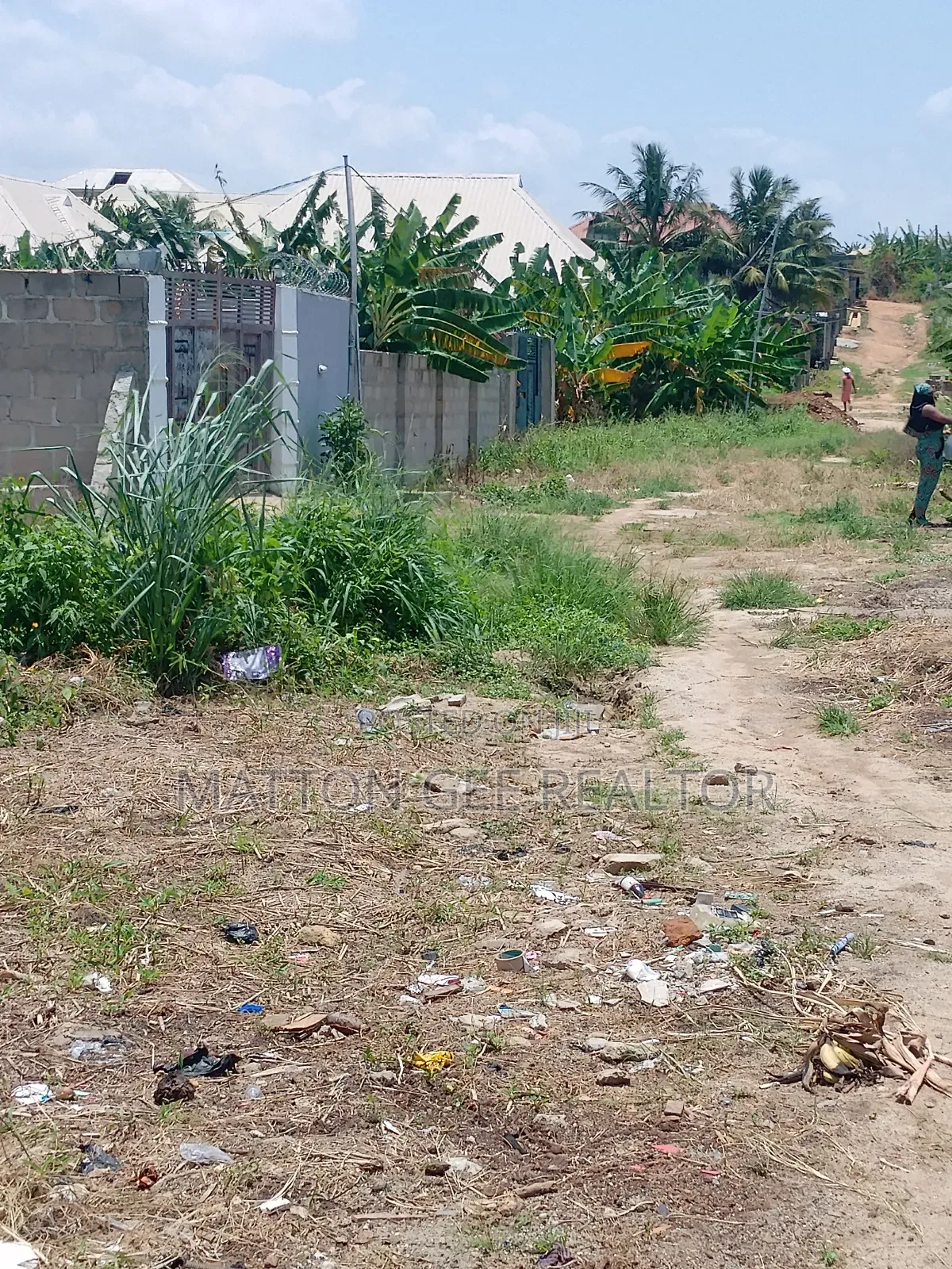 Virgin Land in Igbogbo