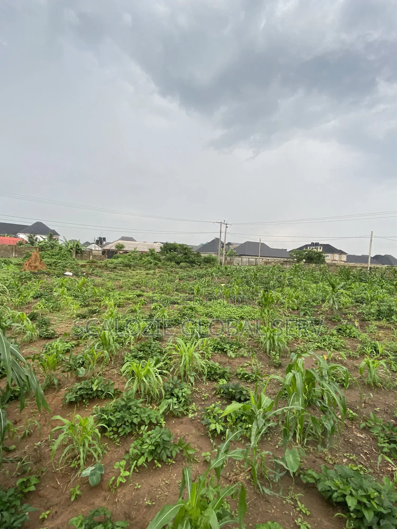 Distress Sale 2 Plots of Land With Constant Electricity Security in Port-Harcourt