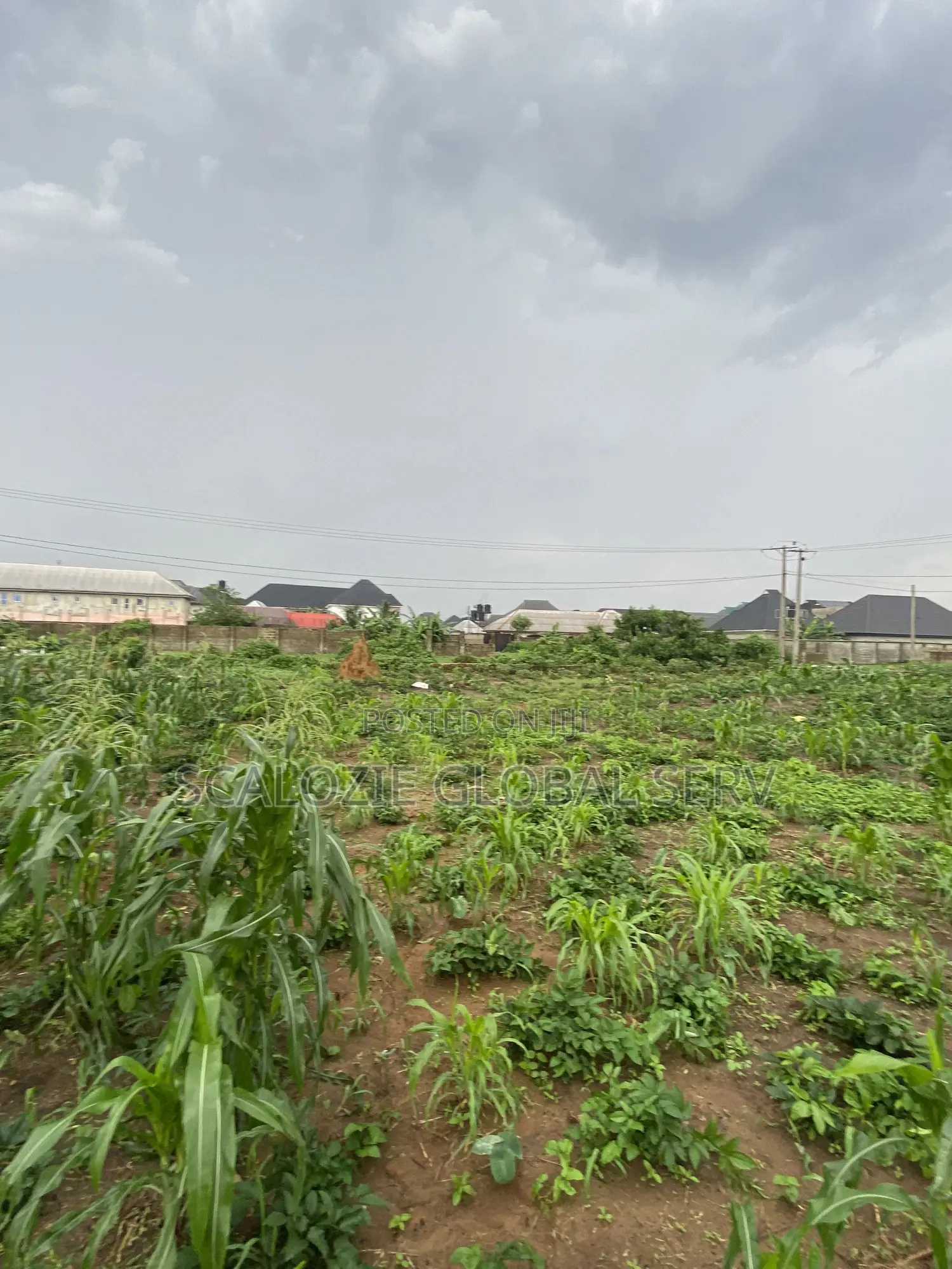 Distress Sale 2 Plots of Land With Constant Electricity Security in Port-Harcourt