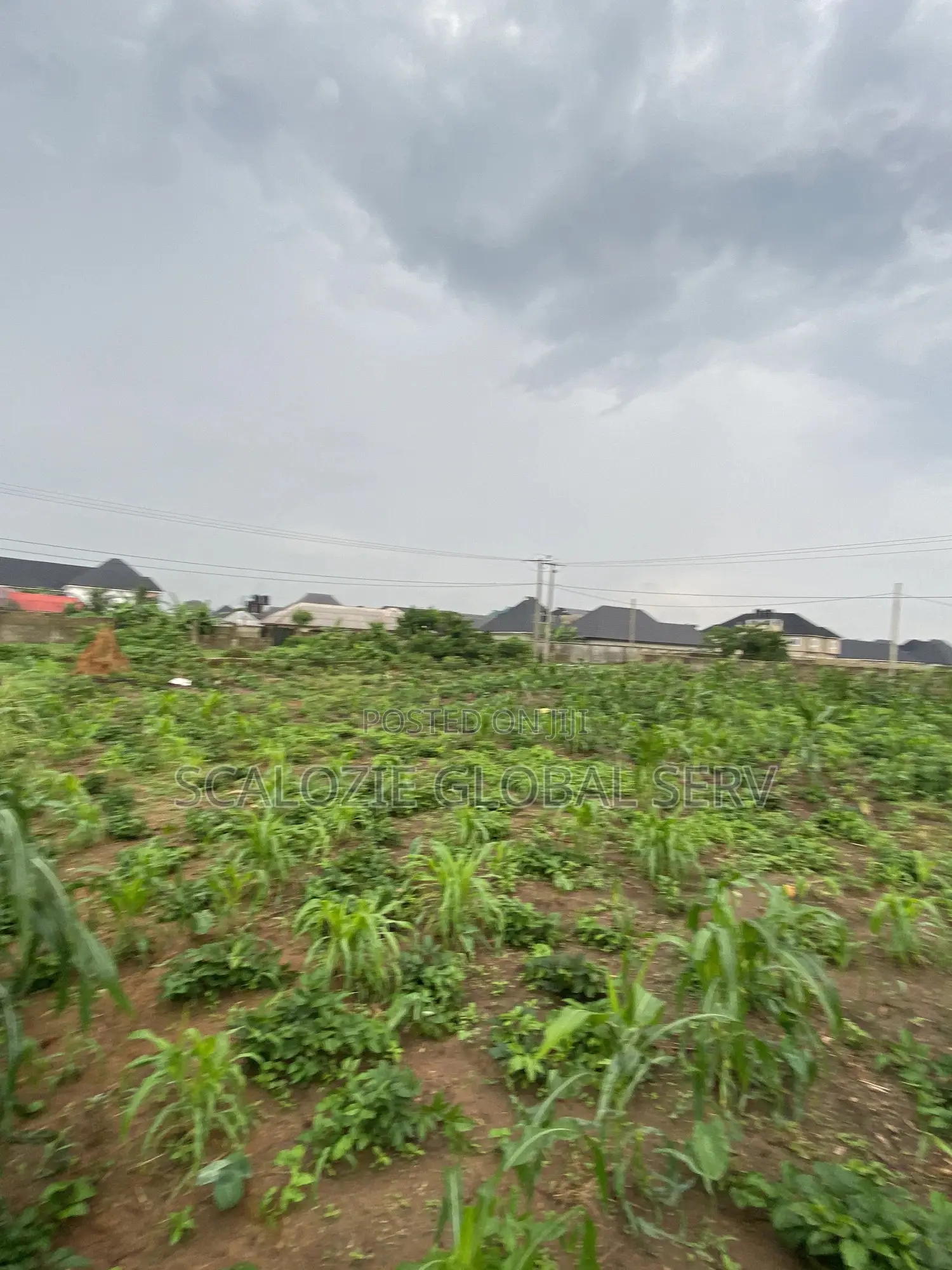 Distress Sale 2 Plots of Land With Constant Electricity Security in Port-Harcourt