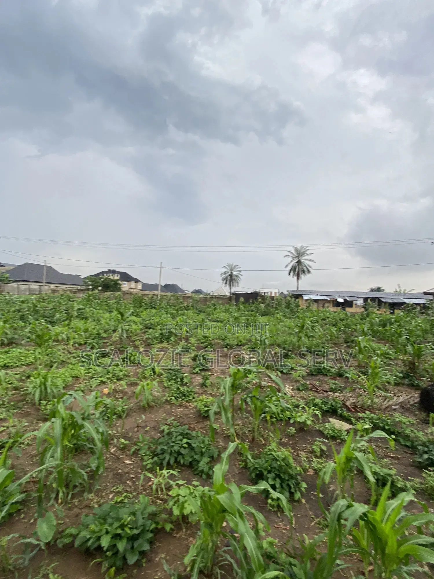 Distress Sale 2 Plots of Land With Constant Electricity Security in Port-Harcourt