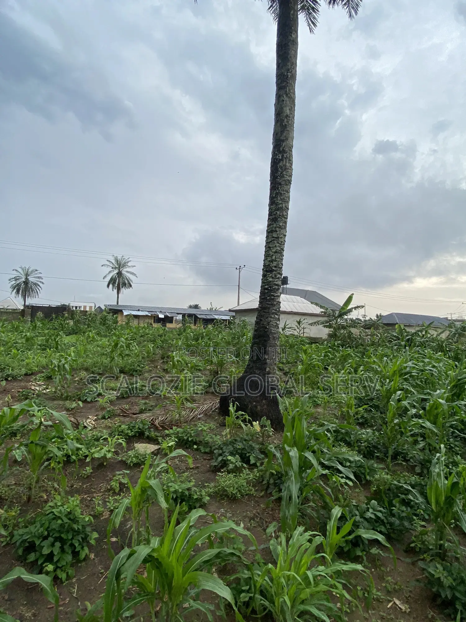 Distress Sale 2 Plots of Land With Constant Electricity Security in Port-Harcourt