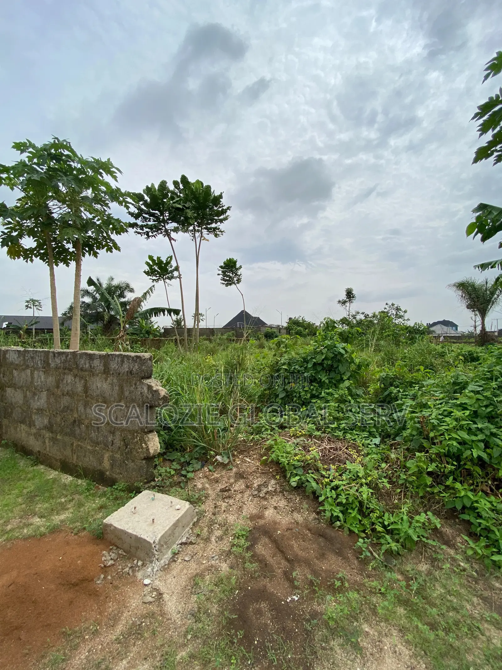 Standard 1 Plot Of Land With Constant Electricity And Secured Estate in Elimbu